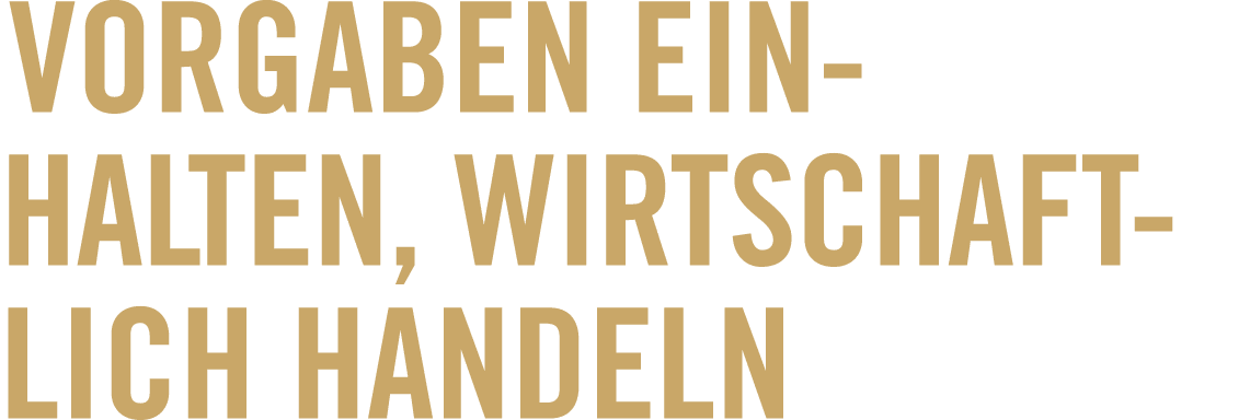 Vorgaben ein ­halten, wirt­schaft­lich handeln