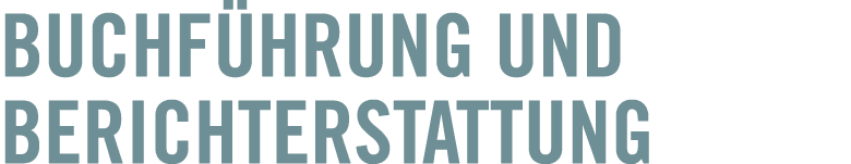 Buchf hrung und ­Berichterstattung